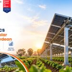 What Is Agrivoltaics? Benefits of Solar Farming| Raydean